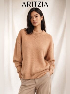 NWOT Wilfred Free by Aritzia Camel Crewneck Merino Wool Relaxed Fit Sweater L